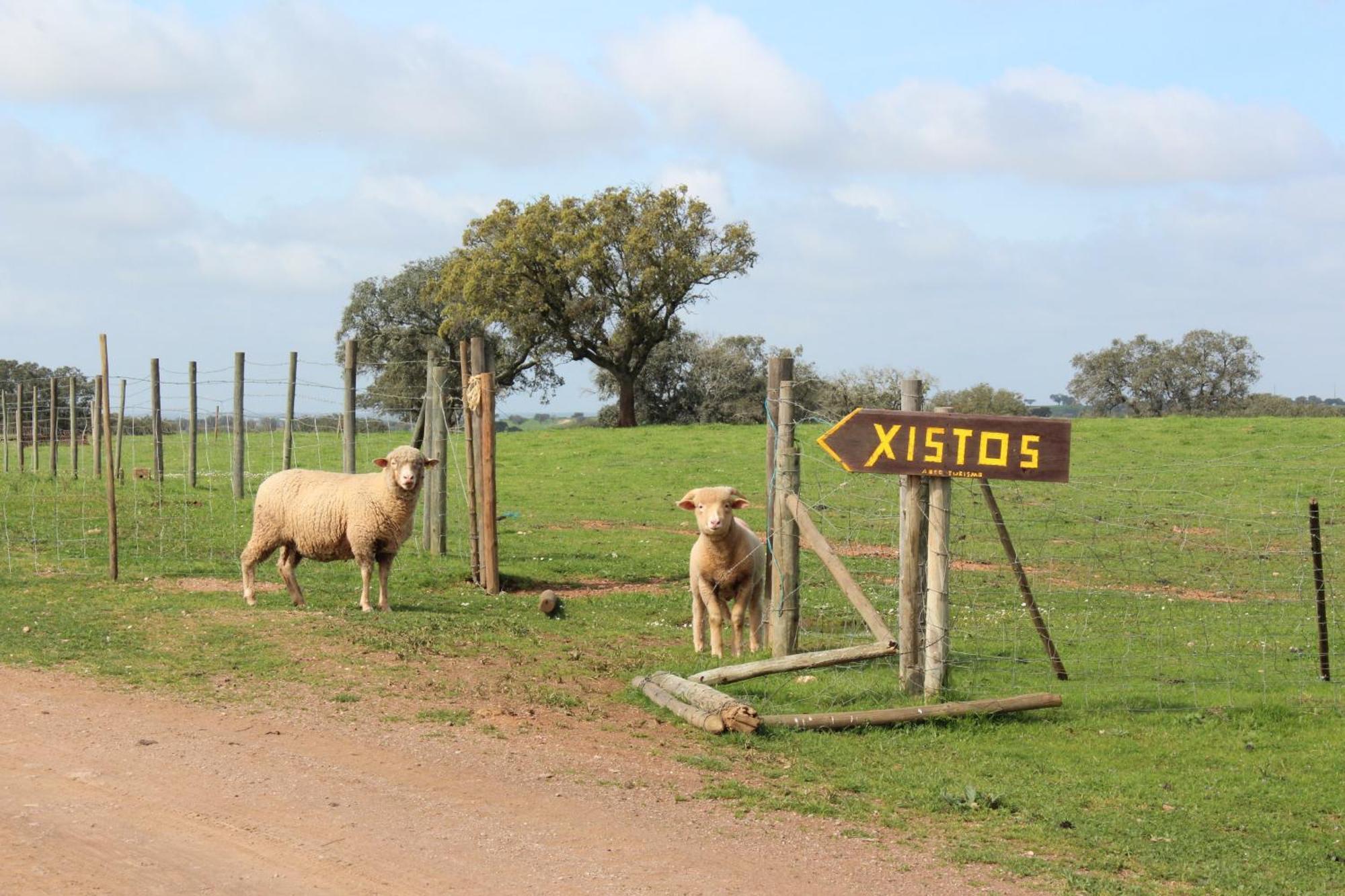 Agroturismo Xistos Cerca 외부 사진